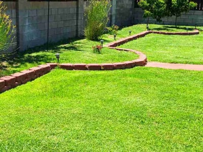 Lawn care service in Albuquerque, 87109