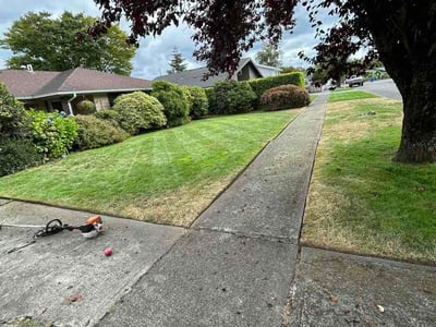 Lawn care service in Buckley, 98321