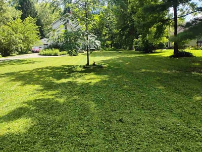 Lawn care service in Warren, 44483