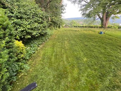 Lawn care service in Nanticoke, 18634
