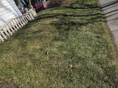 Lawn care service in , 