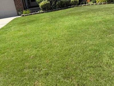 Lawn care service in Union City, 30291