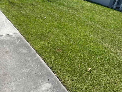 Lawn care service in Dania Beach, 33004