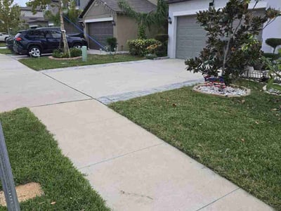 Lawn care service in Tampa, 33619