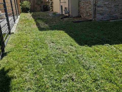 Lawn care service in Denver, 80223