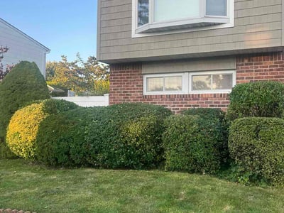 Lawn care service in , 