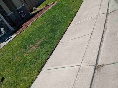 Lawn care service in Modesto, 95355