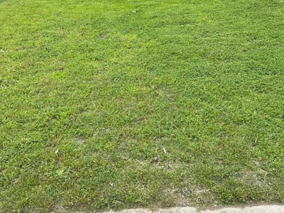 Lawn care service in Rockwall, 75032