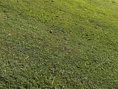 Lawn care service in Villa Rica, 30180