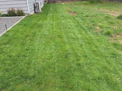 Lawn care service in Everett, 98204