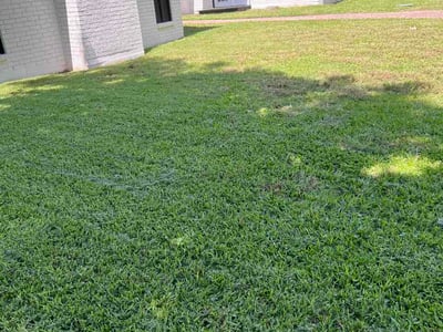 Lawn care service in Rockwall, 75087