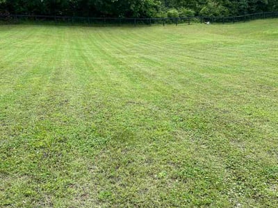 Lawn care service in Mt. Juliet, 37122