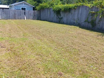 Lawn care service in Pensacola, 32526