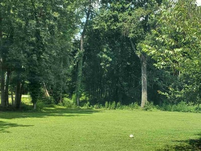 Lawn care service in Richmond, 23237