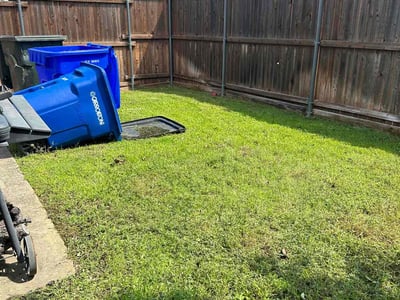 Lawn care service in Carrollton, 75007