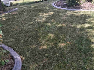 Lawn care service in Madison, 53716
