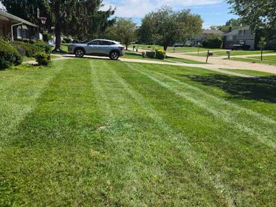 Lawn care service in Cleveland, 44143