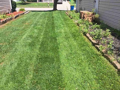 Lawn care service in Avon, 46123