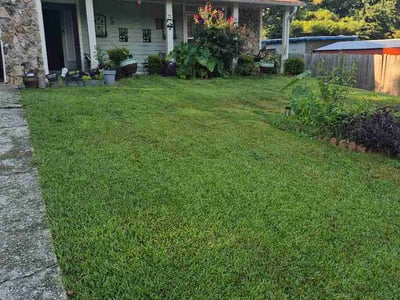 Lawn care service in Riverdale, 30274