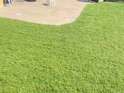 Lawn care service in Lewisville, 75067