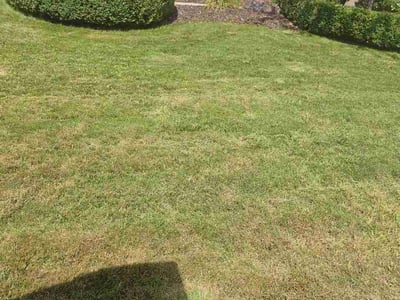 Lawn care service in Northville, 48168