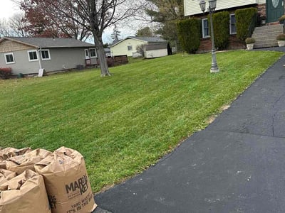 Lawn care service in Watervliet, 12189