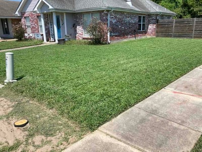 Lawn care service in Violet, 70092