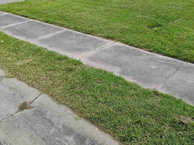 Lawn care service in Jacksonville, 28546
