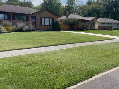 Lawn care service in Parma, 44134
