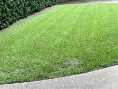 Lawn care service in Greenville, 29601