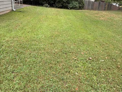 Lawn care service in Buford, 30519