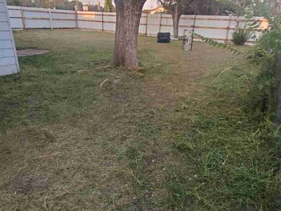 Lawn care service in Amarillo, 79109