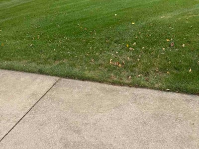 Lawn care service in Kalamazoo, 49009