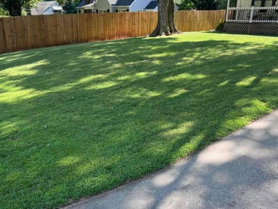 Lawn care service in Winston-Salem, 27104