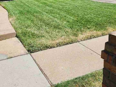 Lawn care service in Allen, 75002