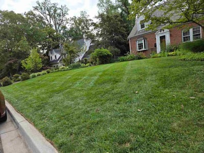 Lawn care service in Chevy Chase, 20815