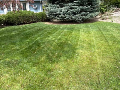 Lawn care service in Longmont, 80503