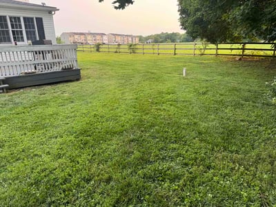 Lawn care service in Rising Sun, 21911
