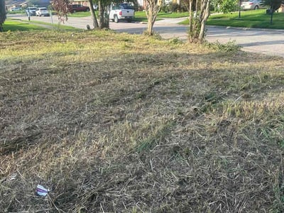 Lawn care service in New Orleans, 70127