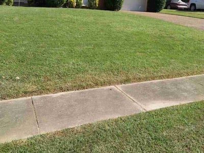 Lawn care service in Memphis, 38125