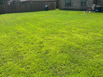 Lawn care service in Memphis, 38125