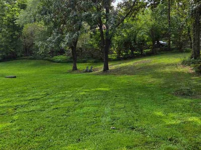 Lawn care service in Clifton, 20124