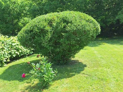 Lawn care service in Jamesville, 13078