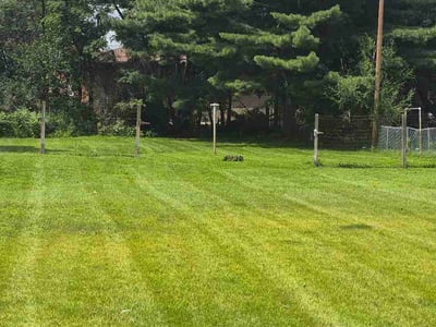 Lawn care service in Toledo, 43609