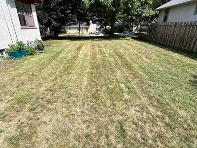 Lawn care service in Minneapolis, 55407