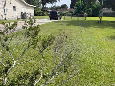 Lawn care service in Houma, 70363