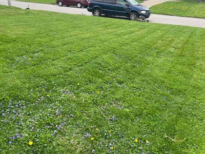 Lawn care service in Mansfield, 44903