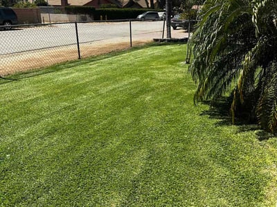 Lawn care service in Riverside, 92509