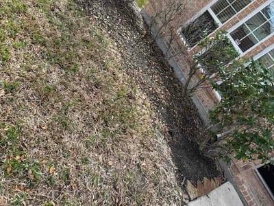 Lawn care service in Pearland, 77584