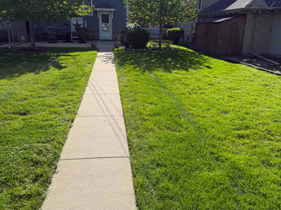 Lawn care service in Wauwatosa, 53226